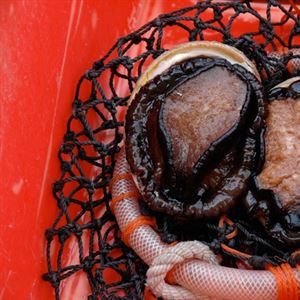 Slow Pan Roasted Abalone - Chef Recipe by Tetsuya Wakuda 